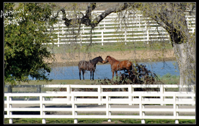 BlogImage - SatoriCircleDotCom - July 7 2018c