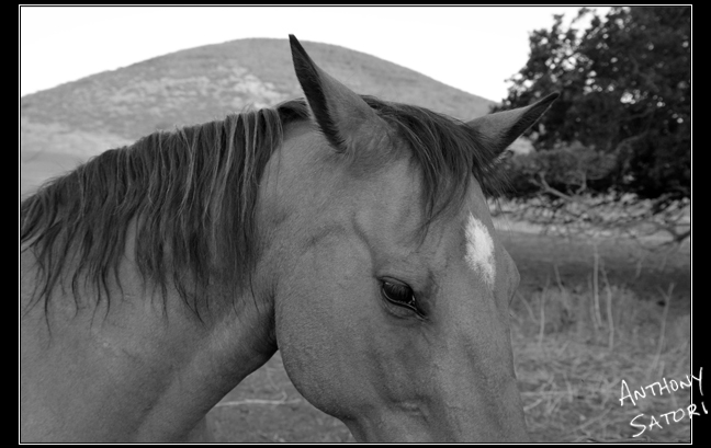 BlogImage - SatoriCircleDotCom - August 25 2018