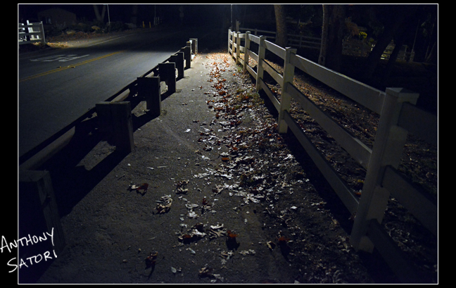 BlogImage - SatoriCircleDotCom - August 4 2018b