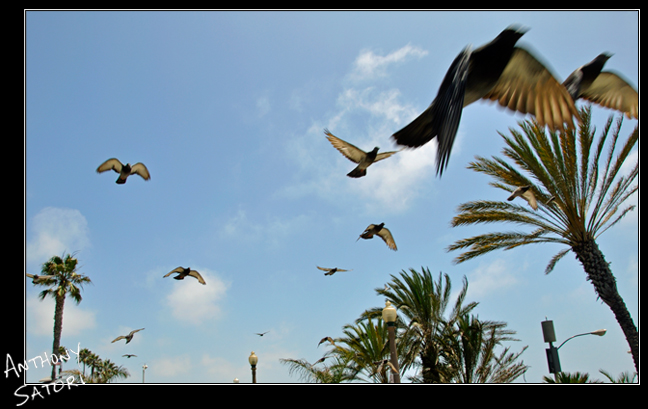 BlogImage - SatoriCircleDotCom - Sept 1 2018