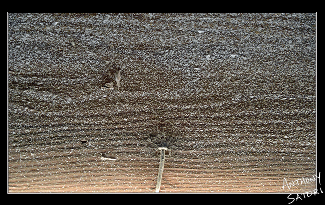 BlogImage - SatoriCircleDotCom - October 27 2018