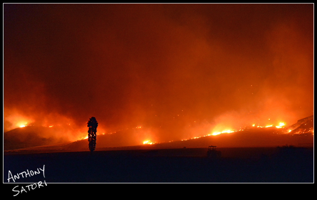 BlogImage - SatoriCircleDotCom - November 11 2018