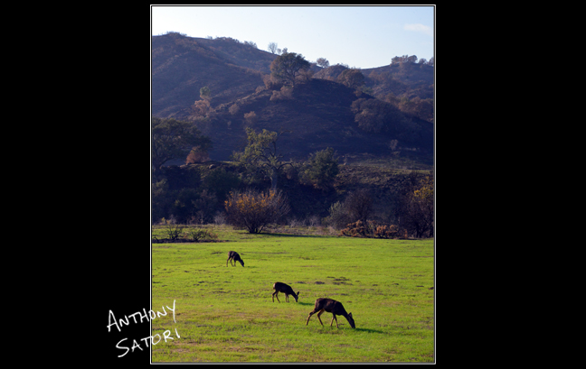 BlogImage - SatoriCircleDotCom - Dec 15 2018