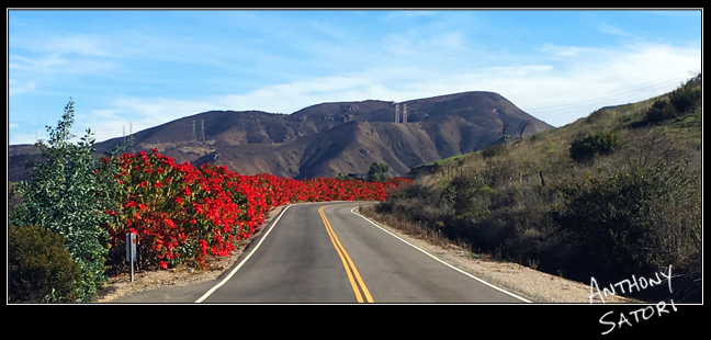 BlogImage - SatoriCircleDotCom - Dec 22 2018