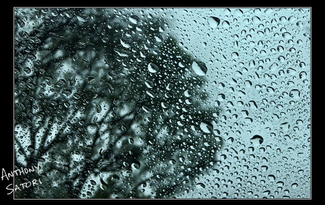 blogimage - satoricircledotcom - jan 26 2019