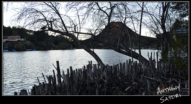 BlogImage - SatoriCircleDotCom - Feb 2 2019b