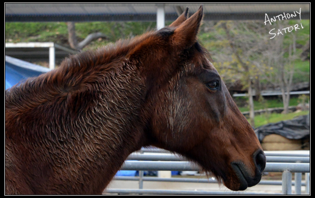 BlogImage - SatoriCircleDotCom - February 16 2019