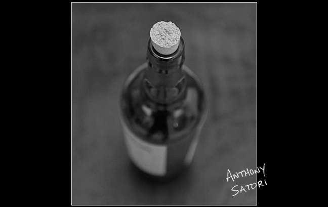 BlogImage - SatoriCircleDotCom - March 2 2019