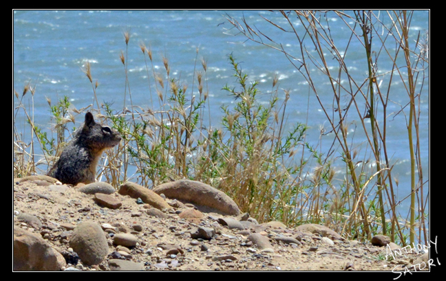 BlogImage - SatoriCircleDotCom - May 25 2019b