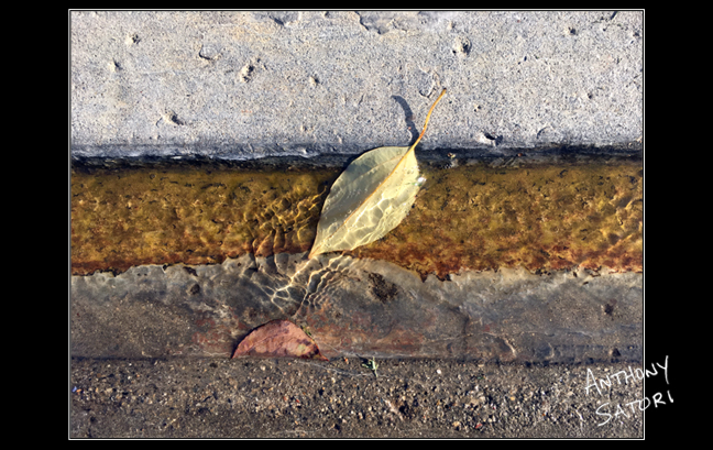 BlogImage - SatoriCircleDotCom - August 10 2019b