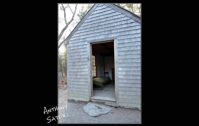 BlogImage - SatoriCircleDotCom - November 23 2019d