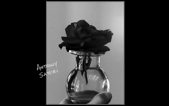 BlogImage - SatoriCircleDotCom - November 9 2019